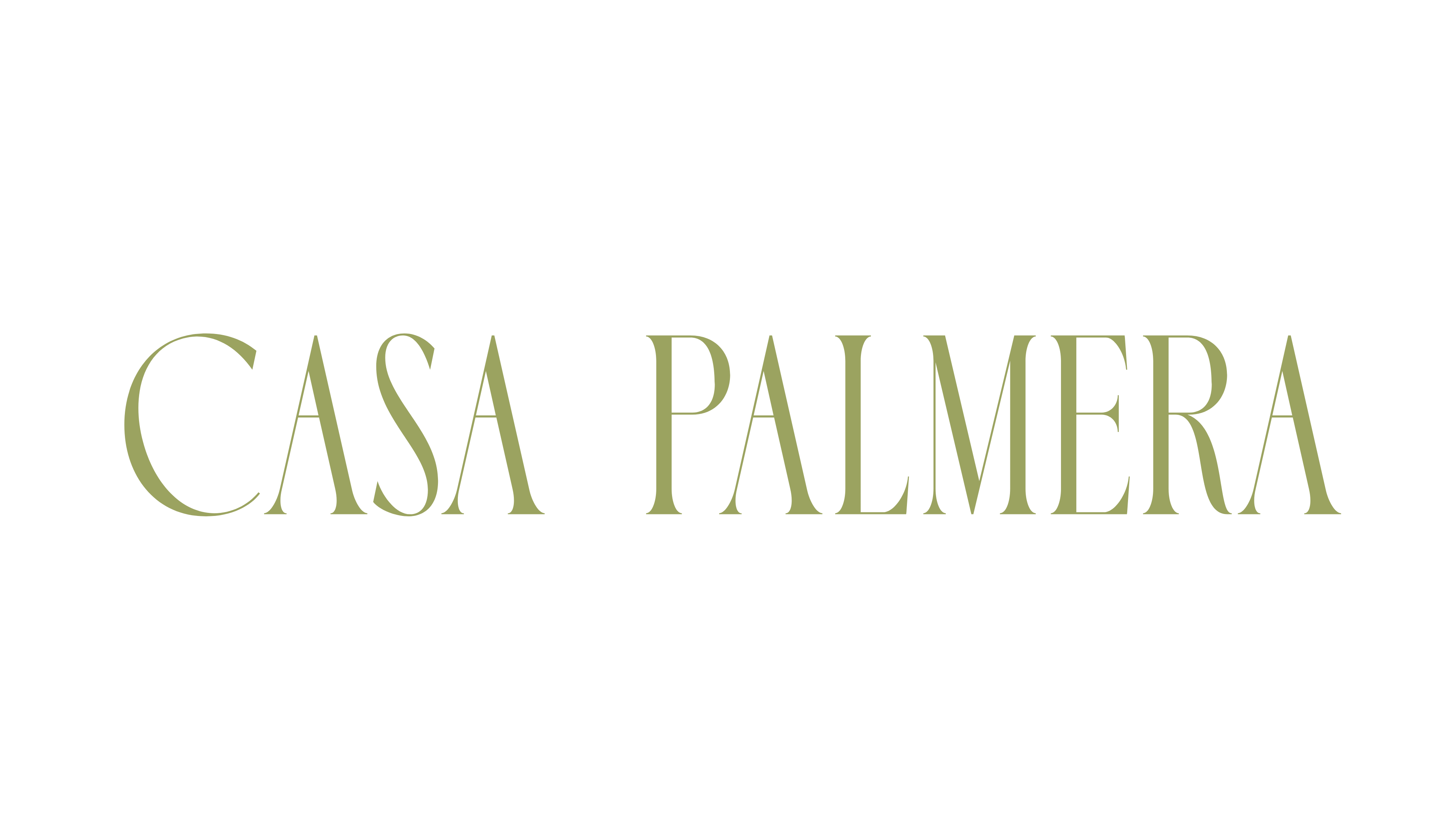 casa palmera resort